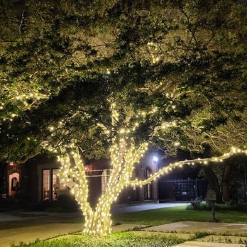 {SERVICE_NAME} project in Wylie