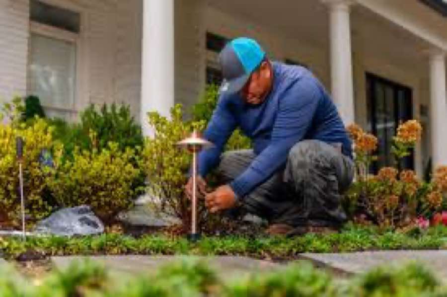 {SERVICE_NAME} project in Wylie