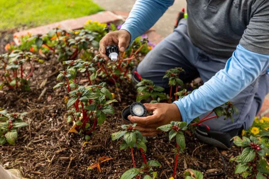 Landscape Lighting in Wylie