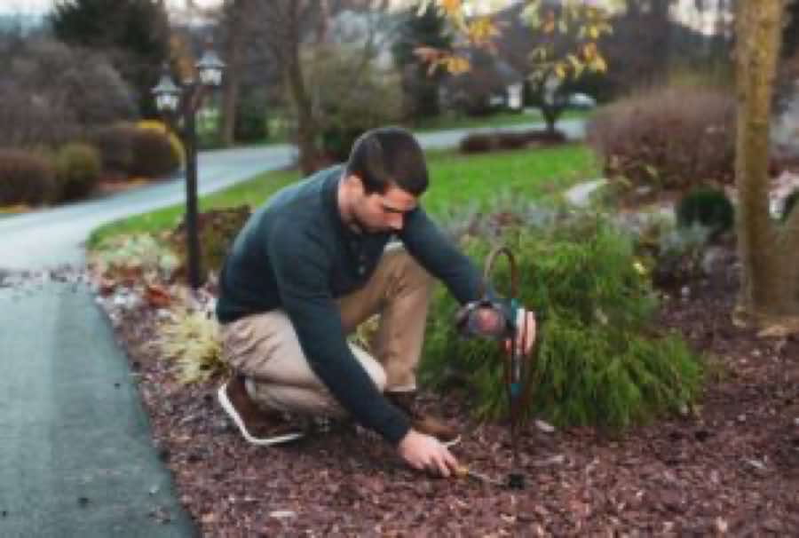 Pathway Illumination in Wylie